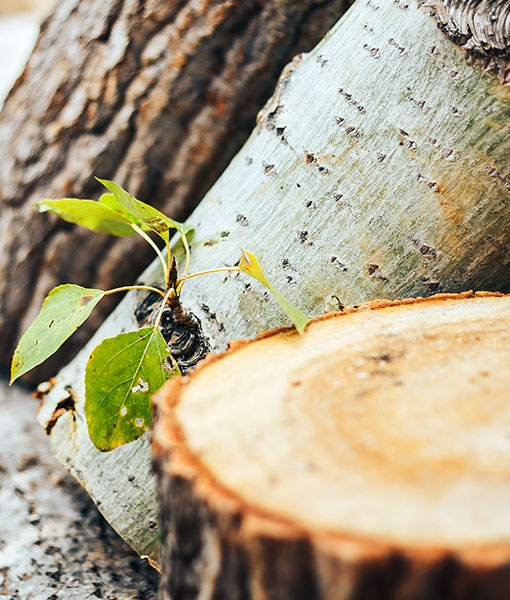 Huzhou Huicheng Home Technology Co., Ltd.